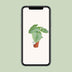 Philodendron Sodiroi - Ø15cm - ↕45cm Bild 5