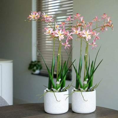 Renanthera Orchidee rosa 2 Stück - Bündelprodukt - Kunstpflanzen