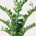 Kunstpflanze Zamioculcas (Zimmerpalme) - 110 cm Bild 3