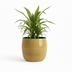 Ceramic Pot Babet Camel - D27 x H23 cm - Elegant Planter Bild 3
