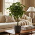 Schefflera Nora mit grauem Topf – 70cm – Ø21 Bild 4