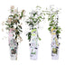 3x Sternjasmin Mix - 65cm Topf Ø15 - Duftende Kletterpflanze Bild 6