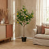 ARTIFICIAL Lemon Tree 150 cm - Realistic & Easy Care Bild 5