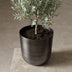 Topf Mayk Lead - D20: Eleganter Pflanztopf in Bleigrau Bild 6