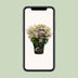 Hydrangea pan. '(S)witch Ophelia' Ø19cm - 25cm Bild 5
