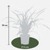 3x Carex morrowii 'Irish Green' - Ziergras, ca. 30cm, Ø14cm Topf Bild 2