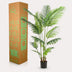 Künstliche Howea Forsteriana Palme 160 cm – Indoor-Paradies Bild 6