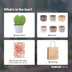 Love Set: Heart Plant, Pot, Card & Gift Bag Bild 4