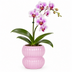 Kolibri Home | Horizon Übertopf - Rosa - ∅9cm Bild 2