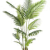 Künstliche Howea Forsteriana Palme 160 cm – Indoor-Paradies Bild 1