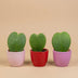 Hoya Kerrii Herzpflanzen-Set: 3 Mini-Töpfe mit Liebe Bild 4