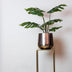 Artificial Plant - Monstera Deliciosa - Swiss Cheese Plant - 65 cm Bild 5