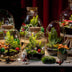 Frosty Kerstmis terrarium - Planten terrarium  DIY kit Christmas -  -  Ø 17 cm ↑ 25 cm Bild 4