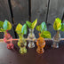 Zimmerpflanzen Mix im Venice Glas, 6er Set, Ø7cm, ↕20cm Bild 2