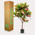Künstlicher Croton Codiaeum 'Wunderstrauch' 120 cm Bild 5