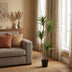 Kunst Dracaena 165cm - Künstliche Pflanze für stilvolles Ambiente Bild 5