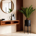Green boutiQ - Zimmerpflanze - Cycas revoluta - Palmfarn - Wenig Pflege - Grün - 1 - Topf 17cm - Höhe 70cm Bild 5