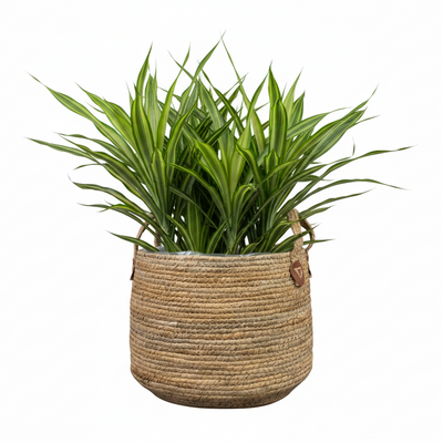 Korb Isla Naturel - Dekokorb D43xH30 cm, Handgefertigt