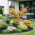 Acer palmatum 'Katsura' - Japanischer Ahorn, 90cm, Topf 26cm Bild 6