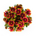 Gaillardia aristata Ø19cm, 40-50cm: Leuchtende Blütenpracht für Ihren Garten Bild 2