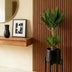 Green boutiQ - Zimmerpflanze - Yucca elephantipes - Yucca - Pflegeleicht - Grün - 1 - Topf 17cm - Höhe 75cm Bild 5