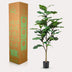 Kunstpflanze Ficus Lyrata (Tabakspflanze), 120 cm Bild 6