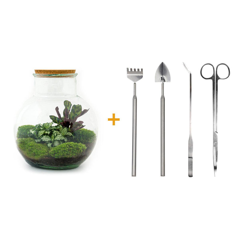 Bottle Garden 'Teddy' with Accessories (26.5 cm)
