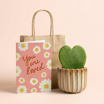 Geschenkset - Love Set - Herzpflanze, Topf, Grußkarte & Geschenktasche