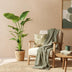 Green boutiQ - Zimmerpflanzen - Stelitzia Nicolai - Paradiesvogelblume - Geringer Pflegeaufwand - mit Korb - Grün - 1 Pflanze - Topf 21cm - Höhe 110-120cm Bild 5