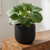 Capi Topf Bol Skin Anthrazit D24cm H21cm Bild 5