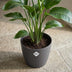 ELHO Brussels rund Blumentopf 18 cm Anthrazit aus recyceltem Kunststoff Bild 4