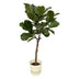 Ficus Lyrata Fiddle Leaf Fig Tree with Pot 160cm Ø30cm Bild 1