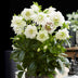 Lenzrose 'Double Ellen White' - Immergrüne weiße Blüte, 2 Pflanzen Bild 6