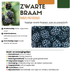 „Süße Ernte Trio“ BIO Obstpflanzen-Mix – Set mit 3 verschiedenen Sorten Bild 7