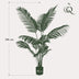 Künstliche Howea Forsteriana Palme, 140 cm – Tropisches Flair Bild 2