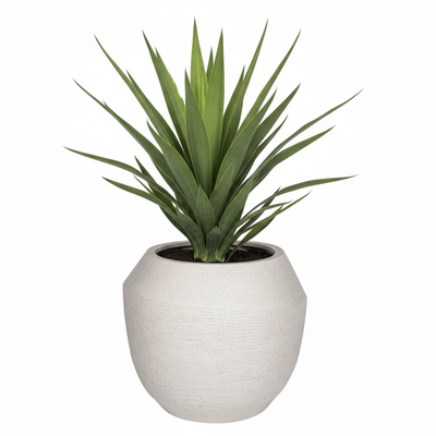 Ruvido Sand Plant Pot D54 x H47 – An Elegant Eye-Catcher for Your Greenery
