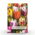 GreenboutiQ Tulpen Flaming Beauty Mix - 15 Hardy Perennial Bulbs Bild 1