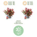 GreenboutiQ - Gartenpflanze - Leucothoe Colour Diamond - Bunt - 2 Pflanzen - Immergrün - Wenig Pflege - Topf 17cm Höhe 45cm Bild 4