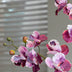 Orchidee Vanda rosa 2 Stück - Bündelprodukt - Kunstpflanzen Bild 5