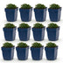 Green boutiQ - Perennial - Campanula portenschlagiana - Peach-leaved bellflower - Ground cover - Pink - 12 Plants - Pot 11cm - Height 15-25cm Bild 1