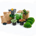 Pflanzen-Terrarium Starterpaket & Nachfüllung - Dschungel-Flair Bild 1