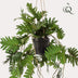 Realistic Philodendron Artificial Hanging Plant, 80 cm Bild 3