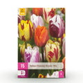 GreenboutiQ - Blumenzwiebeln - Tulp Flaming Beauty Mix - Bulbs Hardy Perennial - Verschiedene Farben - 15 Stück - Zwiebelgröße 11/12 - XXL Pack