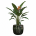 Flowerpot Babet Pine - D27 x H23 Bild 3