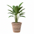Choco Doppio Flowerpot D33 x H29 cm – Elegant & Modern Bild 3