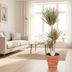 Dracaena Bicolor: Exotic Houseplant, 115cm tall Bild 3