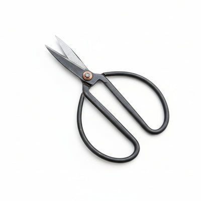 Bonsaischere L - 19 cm - Präzisionsschere für Bonsaiwerkzeug