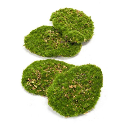 4er Set Kunstmoosplatten für Wand & Terrarium, 16x12cm