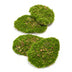 4er Set Kunstmoosplatten für Wand & Terrarium, 16x12cm Bild 1
