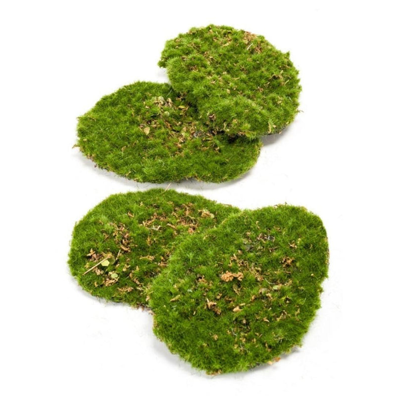 4er Set Kunstmoosplatten für Wand & Terrarium, 16x12cm